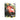 Mike Hawthorn & Ferrari | Art Mug or Poster