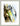 Jim Clark Lotus 49 | Art Print