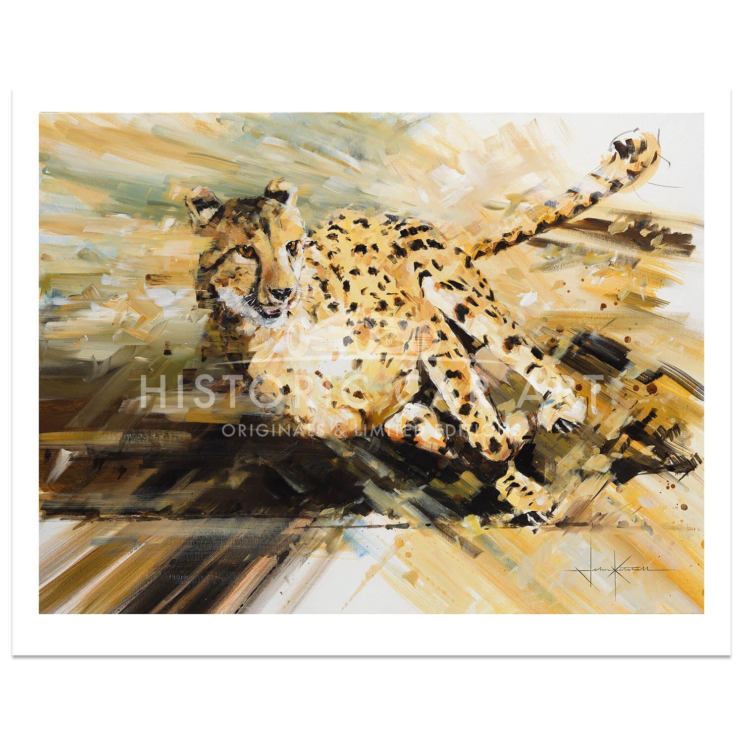 Savanna Express | Cheetah | Art Print