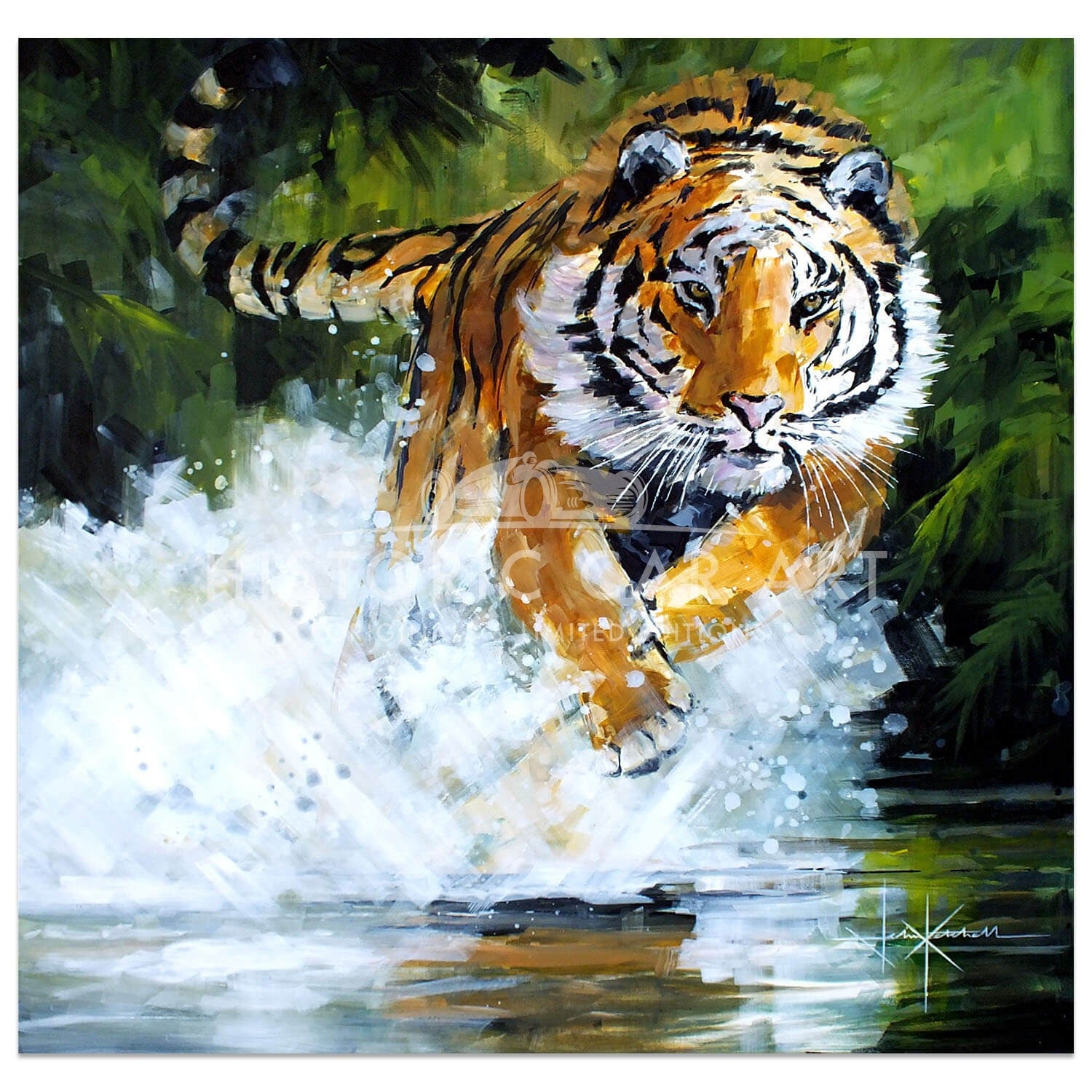 Splash Attack | Tiger | Art Print