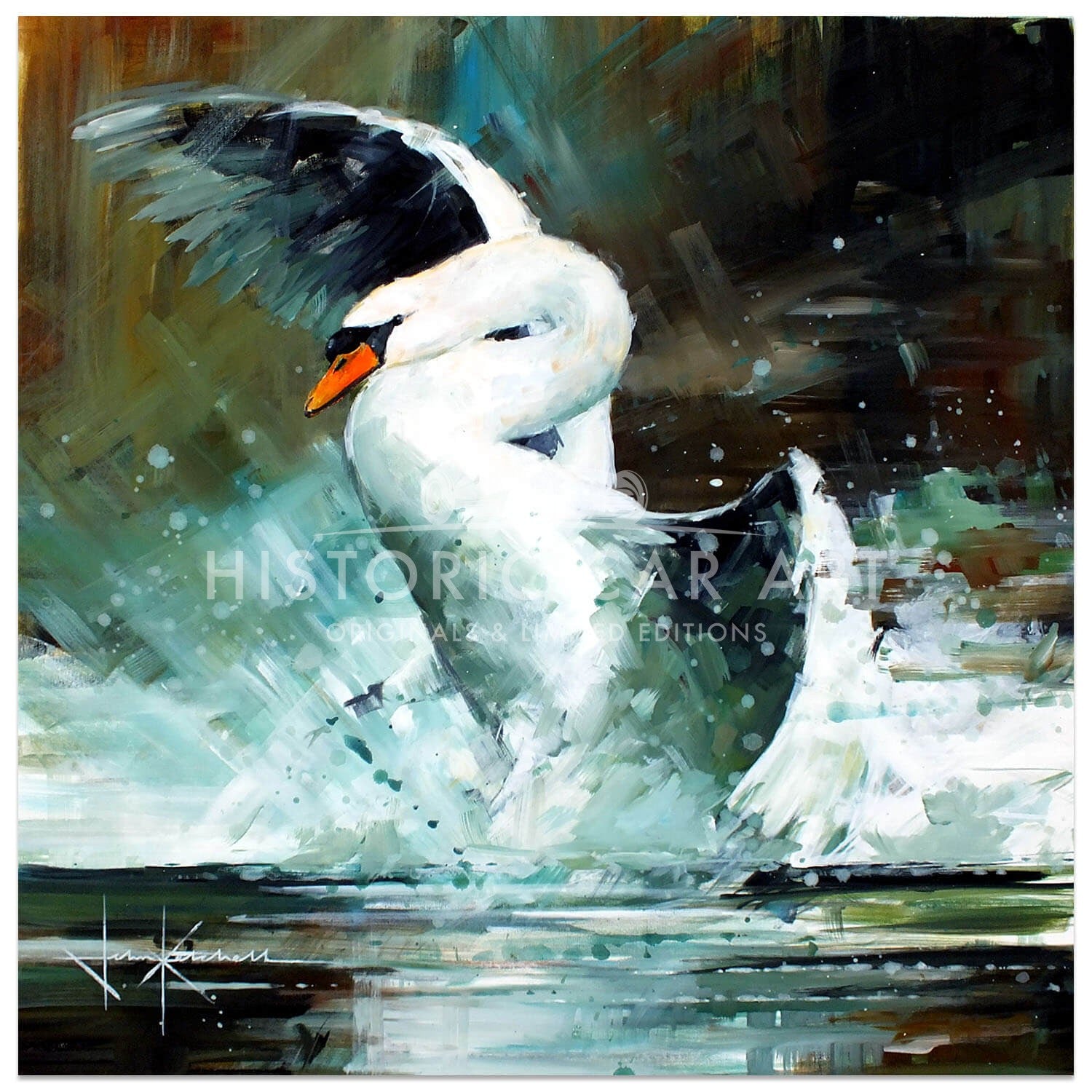 Quite a Splash | Swan | Artwork